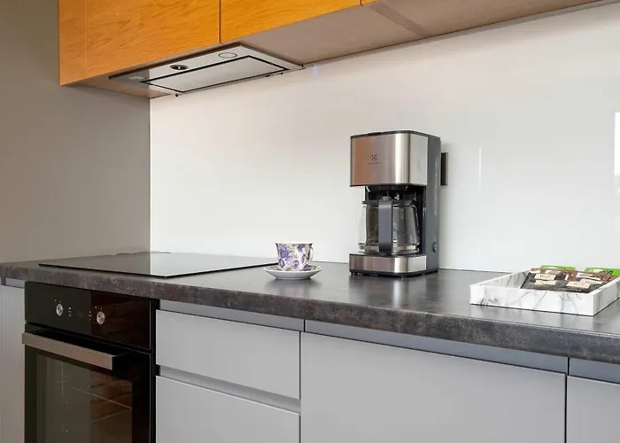 Bright Air Conditioned With Parking And By Renters