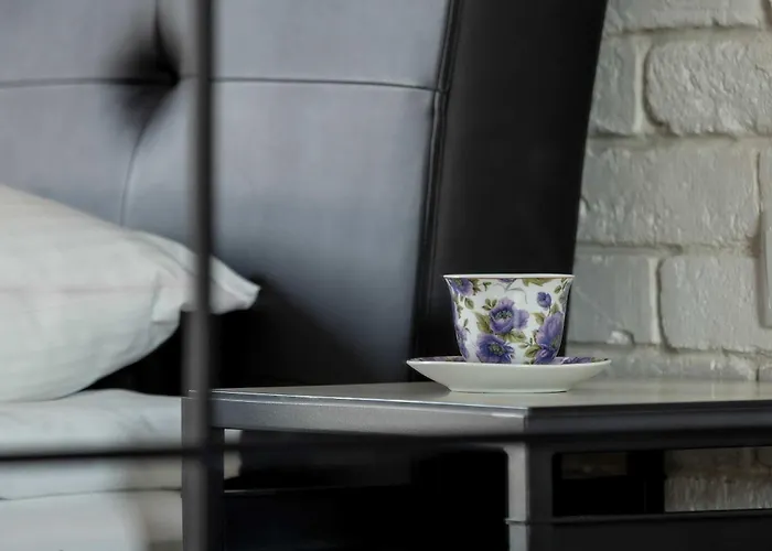 Apartman Bright Air Conditioned With Parking And By Renters